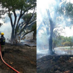 Major Fire Broke Out At Nehru Zoo In Hyderabad,Mango News,Current Breaking News,India News Live Updates,Hyderabad Breaking News,Massive Fire breaks out at Hyderabad zoo,Hyderabad zoo Fire Breaks,major fire broke out at Nehru Zoological Park