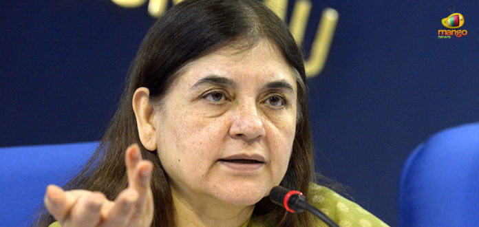 Lok Sabha Elections – Maneka Gandhi Violates MCC Lok Sabha Elections – Maneka Gandhi Violates MCC, Maneka Gandhi Flouts MCC, Maneka Gandhi Threaten Muslims, Election Commission Issues Notice to Maneka Gandhi, Lok Sabha election, Lok Sabha polls, Maneka Gandhi News, 2019 General Elections, Mango News