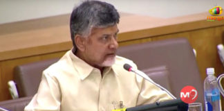 Chandrababu Elected As TDLP Leader,Mango News,Breaking News Headlines,Latest Political News 2019,TDLP Leaders,Chandrababu Naidu Latest News,Ex CM Chandrababu Elected As TDLP Leader,President of Telugu Desam Legislature Party,Former Chief Minister of AP Elected As TDLP Leader