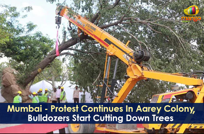 Bulldozers Start Cutting Down Trees, Latest Political Breaking News, Mango News, Mumbai Metro Rail, Mumbai Metro Rail started cutting down trees in Aarey Colony, Mumbai Protest Continues In Aarey Colony, Municipal Corporation of Greater Mumbai, National News Headlines Today, national news updates 2019, National Political News 2019, Protest Continues In Aarey Colony