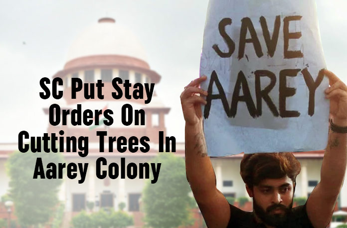 Bulldozers Start Cutting Down Trees, Cutting Trees In Aarey Colony, Latest Political Breaking News, Mango News, Mumbai, Mumbai Metro Rail, Mumbai Metro Rail started cutting down trees in Aarey Colony, Mumbai Protest Continues In Aarey Colony, Municipal Corporation of Greater Mumbai, National News Headlines Today, national news updates 2019, National Political News 2019, Protest Continues In Aarey Colony, SC Put Stay Orders On Cutting Trees In Aarey Colony