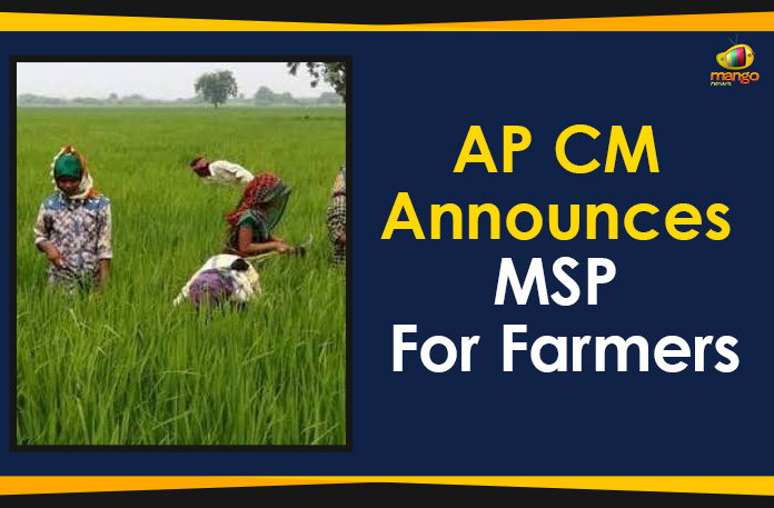 AP-CM-Announces-MSP-For-Farmers AP CM Announces Minimum Support Price For Farmers, AP CM Announces MSP, AP CM Announces MSP For Farmers, AP CM YS Jagan Announces MSP For Farmers, Ap Political Live Updates 2019, AP Political News, AP Political Updates, AP Political Updates 2019, Mango News, Minimum Support Price, Minimum Support Price For Farmers, Y.S. Jagan Mohan Reddy, Yuvajana Sramika Rythu Congress Party