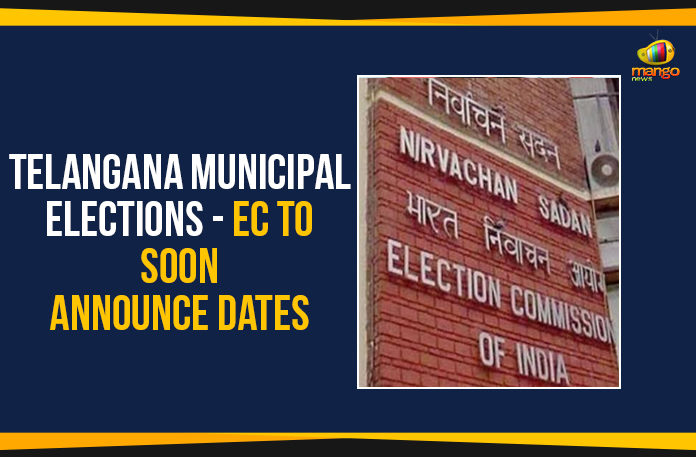 Telangana-Municipal-Elections---EC-To-Soon-Announce-Dates 2019 Telangana Municipal Elections, EC To Soon Announce Dates, Election Commission Of Telangana, Mango News, Political Updates 2019, Telangana, Telangana Breaking News, Telangana Municipal Elections, Telangana Municipal Elections 2019, Telangana Municipal Elections Dates, Telangana Municipal Elections EC To Soon Announce Dates, Telangana Political Live Updates, Telangana Political Updates, Telangana Political Updates 2019, Telangana Rashtra Samithi