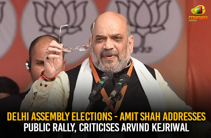 DelhiAssemblyElectionsAmitShahAddressesPublicRallyCriticisesArvindKejriwal0
