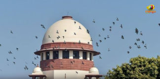 Highlights Of SC Verdict Regarding Jammu And Kashmir Internet Suspension Case Central Government of India, Highlights Of SC Verdict, Jammu And Kashmir Case, Jammu And Kashmir Internet Suspension Case, Latest Political Breaking News, Mango News, National News Headlines Today, national news updates 2020, national political news 2020