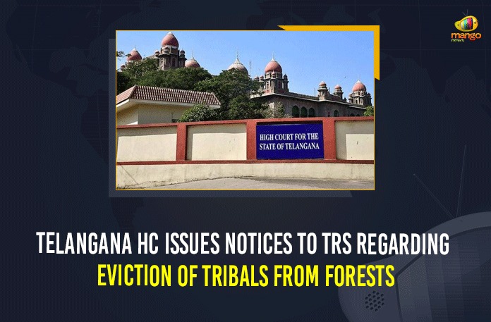 Telangana HC Issues Notices To TRS Regarding Eviction Of Tribals From Forests Chief Minister of Telangana, Eviction Of Tribals From Forests, Forest and Revenue Department officials, forest land of tribals, Mango News, non tribal farmers, Plea to stay eviction of forest dwellers, Telangana HC, Telangana HC directs State to not evict tribals, Telangana HC Issues Notices To TRS, Telangana HC Issues Notices To TRS Regarding Eviction Of Tribals, Telangana HC Issues Notices To TRS Regarding Eviction Of Tribals From Forests, Telangana High Court