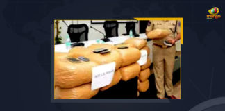 Telangana: Shamshabad Police Seize Ganja Worth Rs 1.8 Crore Telangana Shamshabad Police Seize Ganja Worth Rs 1.8 Crore, Shamshabad Police Seize Ganja Worth Rs 1.8 Crore, Shamshabad Police, Telangana Shamshabad Police Seize Ganja, Special Operations Team, Shamshabad police along with Miyapur police busted a ganja peddling racket, Ganja worth Rs 1.8 Crore seized in Telangana, Shamshabad Police Seized 800 kilograms of ganja, Crime, Crime Latest News, Crime Latest Updates, Telangana, Telangana Crime News, Mango News, Telangana Shamshabad Police, Telangana Miyapur police,
