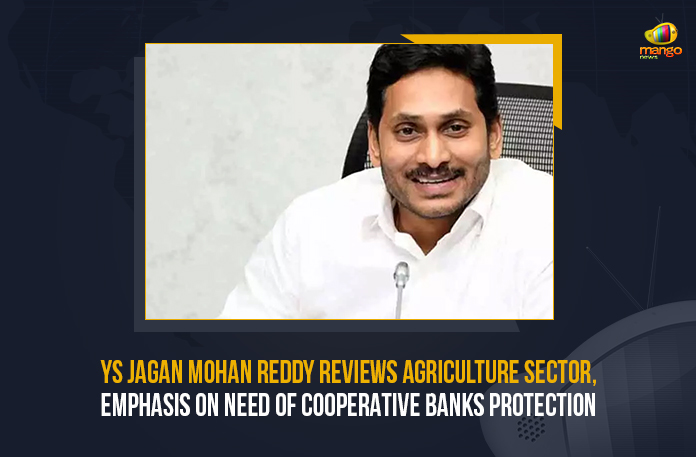 YS-Jagan-Mohan-Reddy-Reviews-Agriculture-Sector,-Emphasis-On-Need-Of-Cooperative-Banks-Protection YS Jagan Mohan Reddy Reviews Agriculture Sector Emphasis On Need Of Cooperative Banks Protection, YS Jagan Mohan Reddy Reviews Agriculture Sector, Emphasis On Need Of Cooperative Banks Protection, Jagan Mohan Reddy Conducts A Review Meeting on Agriculture Department, Agriculture Sector, Cooperative Banks Protection, AP CM YS Jagan Mohan Reddy, AP CM YS Jagan, YS Jagan, AP CM, YS Jagan Mohan Reddy, Review Meeting on Agriculture Department, Agriculture Department, AP Chief Minister YS Jagan Mohan Reddy, AP Chief Minister YS Jagan Mohan Reddy Conducts A Review Meeting on Agriculture Department, CM Jagan, Agriculture Department Latest Updates, Agriculture Department Latest News, Mango News,