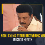 Tamil Nadu CM MK Stalin Recovering Well And In Good Health, Tamil Nadu CM MK Stalin In Good Health, Tamil Nadu CM MK Stalin Recovering Well, Tamil Nadu CM MK Stalin, MK Stalin Corona Positive, MK Stalin Coronavirus, MK Stalin Covid 19, MK Stalin Covid 19 Positive, MK Stalin Covid News, MK Stalin Covid Positive, MK Stalin Health, MK Stalin Health Condition, MK Stalin Health News, MK Stalin Health Reports, MK Stalin Latest Health Condition, MK Stalin Latest Health Report, MK Stalin Latest News, MK Stalin Latest Updates, Mango News,