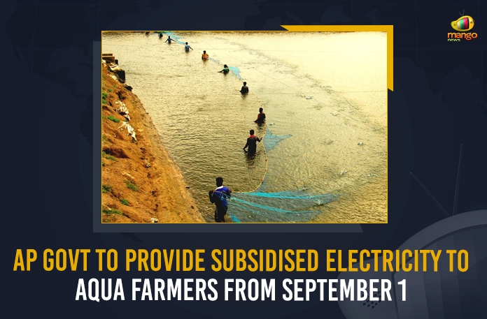 AP Govt AP Govt To Provide Subsidised Electricity To Aqua Farmers From September 1, Subsidised Electricity To Aqua Farmers From September 1, Subsidised Electricity To Aqua Farmers, Aqua Farmers, Subsidised Electricity, AP Govt To Provide Subsidised Electricity To Aqua Farmers, electricity subsidy to small and small aqua farmers, Aqua Farmers Subsidised Electricity, All the eligible farmers of Andhra Pradesh would be getting electricity subsidies from the 1st of September, Aqua Farmers News, Aqua Farmers Latest News, Aqua Farmers Latest Updates, Aqua Farmers Live Updates, Mango News,