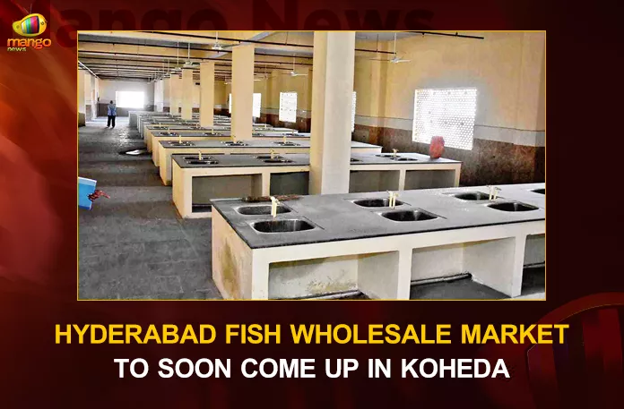 Hyderabad Fish Wholesale Market To Soon Come Up In Koheda Hyderabad Fish Wholesale Market To Soon Come Up In Koheda, Koheda Wholesale Fish Market, Hyderabad Fish Wholesale Market, Fish Wholesale Market, Bharat Rashtra Samithi, Minister Talasani Srinivas held High Level Review on Dairy Development, Minister Talasani Srinivas held High Level Review on Animal Husbandry Development, Minister Talasani Srinivas held High Level Review on Fisheries Development, Minister Talasani Srinivas, High Level Review on Animal Husbandry Fisheries and Dairy Development, Minister Talasani Srinivas Yadav, Telangana Dairy Development, Animal Husbandry Review New Update, Animal Husbandry Review News, Animal Husbandry Review Latest News And Updates, Animal Husbandry Review Live Updates, Mango News