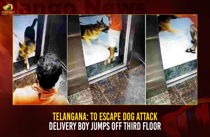 Telangana To Escape Dog Attack Delivery Boy Jumps Off Third Floor Telangana: To Escape Dog Attack Delivery Boy Jumps Off Third Floor, To Escape Dog Attack Delivery Boy Jumps Off Third Floor, Delivery Boy Jumps Off Third Floor, Telangana Delivery Boy, To Escape Dog Attack, Mohammed Rizwan, Lumbini Rock Crystal Apartment, delivery boy allegedly jumped off, Telangana, Mango News