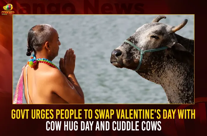 Govt Urges People To Swap Valentine's Day With Cow Hug Day And Cuddle Cows Govt Urges People To Swap Valentine’s Day With Cow Hug Day,Valentines Day Gifts,Valentines Day Week,Valentines Day For Boyfriend,Valentines Day Converse 2023,Valentines Day Coloring,Valentine'S Day Movie,Valentine'S Day Messages,Valentine'S Day Gifts,Valentine'S Day 2022,Valentine'S Day,Happy Valentines Day Wishes,Happy Valentines Day 2022,Happy Valentines Day,Cute Valentines Gifts,Hug Day,Cow Hugging Near Me,Happy Hug Day,Hug A Cow Day,Hug A Cow Near Me,Hug Day 2021,Hug Status