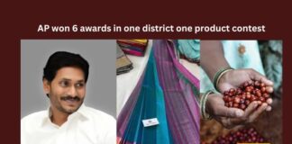 AP, 6 awards, CM YS Jagan, Andhra Pradesh, Awards, One District, Araku Coffee, ODOP, ODOP Awards, ODOP Awards 2024, AP wins six awards, national level, Andhra Pradesh News Updates, AP Latest news and Updates, Mango News