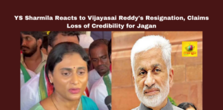 YS Sharmila Reacts to Vijayasai Reddy's Resignation, Claims Loss of Credibility for Jagan, YS Sharmila, Vijayasai Reddy, Jagan Mohan Reddy, YSRCP, AP PCC, Vijayawada, political resignation, leadership credibility, BJP, Viveka murder case, Chandrababu Naidu, Andhra Pradesh, AP Live Updates, AP Politics, Political News, Live Updates, Breaking News, Headlines, Live News, Mango News