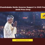 CM Chandrababu Naidu Assures Support to Chilli Farmers Amid Price Drop, Chilli Farmers, Chandrababu Naidu, Chilli Prices, Polavaram Project, Jal Jeevan Mission, Union Government, Agriculture Support, Water Resources, NDA Government, Andhra Pradesh, AP Live Updates, AP Politics, Political News, Live Updates, Breaking News, Headlines, Live News, Mango News