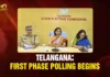 Telangana Votes Today: First Phase of Gram Panchayat Elections Begins Across State First Phase Polling Begins