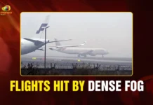 Flights Hit by Dense Fog