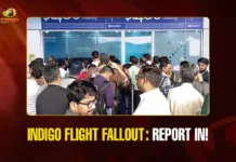 Mango News Portal copy (2)