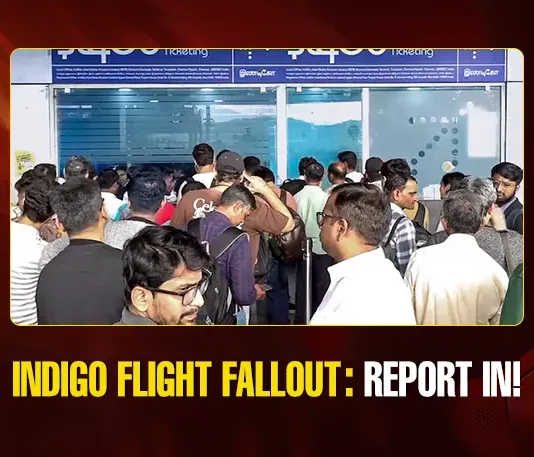 Mango News Portal copy (2)