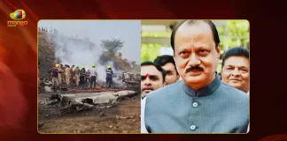 Mango News Portal copy.webp 2