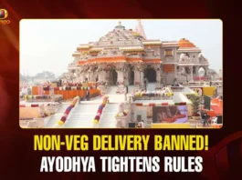 Mango News Portal copy.webp1 (2)