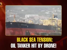 Mango News Portal copy.webp1