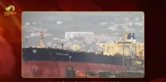 Mango News Portal copy.webp1