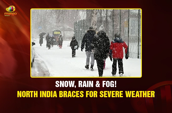 Snow, Rain & Fog! North India Braces for Severe Weather Snow, Rain & Fog! North India Braces for Severe Weather
