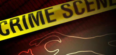 Engineering gratuate student stabs mother to death