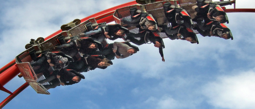 Bird stops 26 roller coaster riders upside down for 20 mintutes