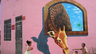In Pictures: China Village walls painted in 3D attract tourist 