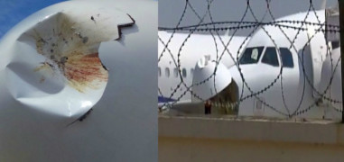  Vistara Flight Boarded With 50 passengers Suffered Bird Hit