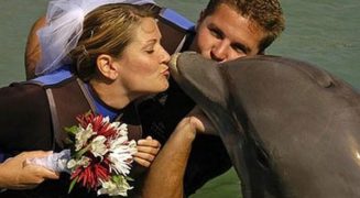 sharon-tendler-married-a-dolphin-named-cindy-600x330
