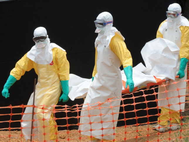 ebola, india