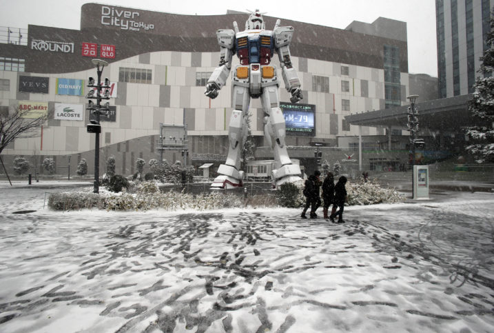 November snow in Tokyo after 54 years