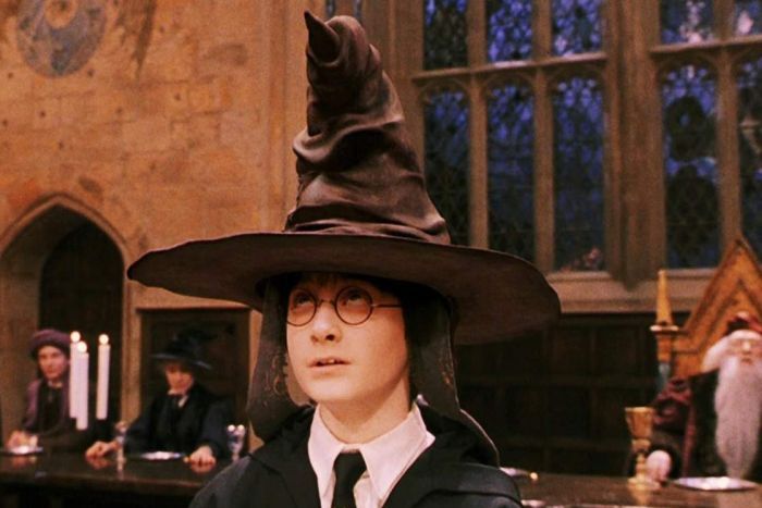 The spider Eriovixia Gryffindori is shaped like the Sorting Hat from the Harry Potter series.