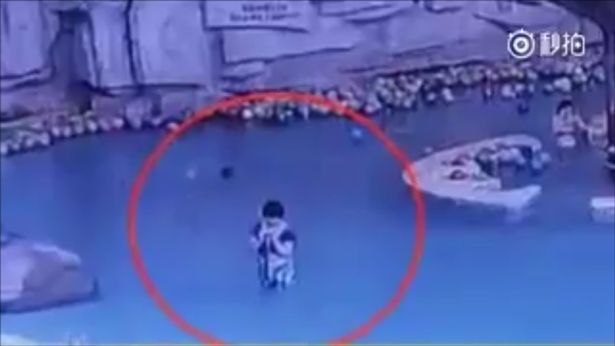 4-year-old-drowns-in-swimming-pool-while-his-mother-texts-on-her-phone-just-feet-away