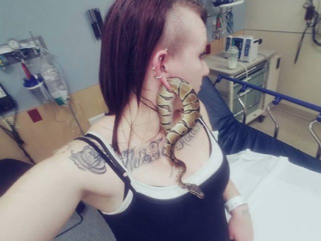 woman-snake-ear2_759_ashley-glawe-facebook python