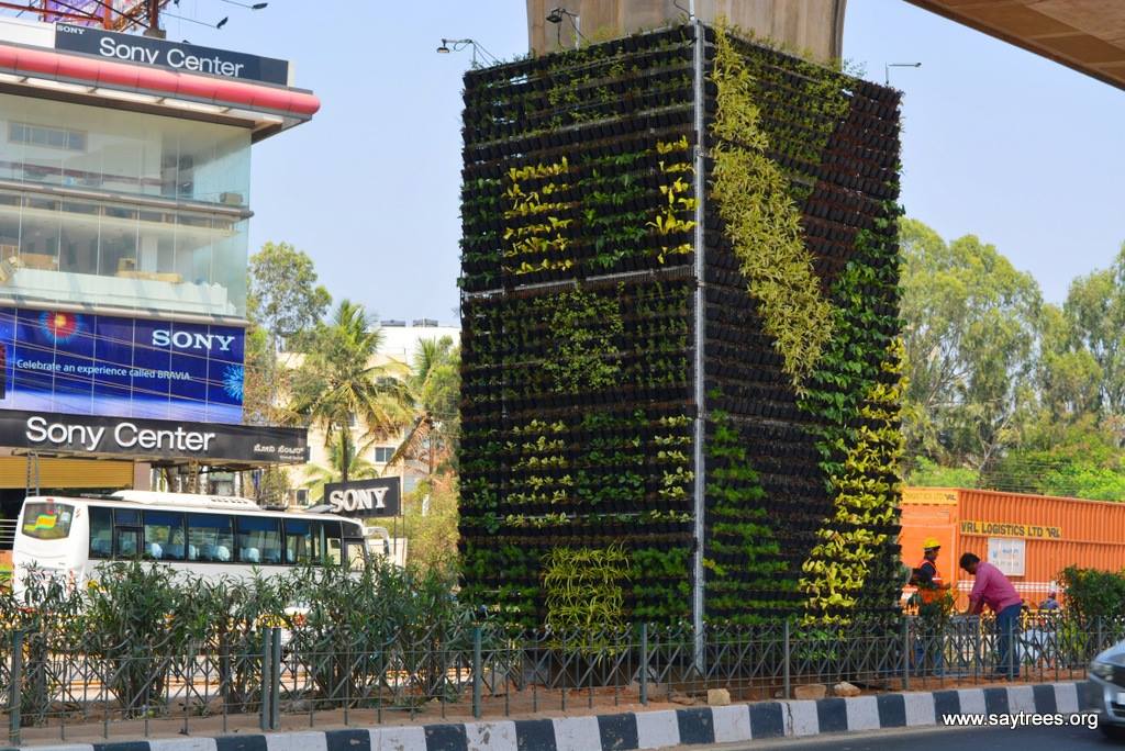 Vertical Garden Bengaluru !
