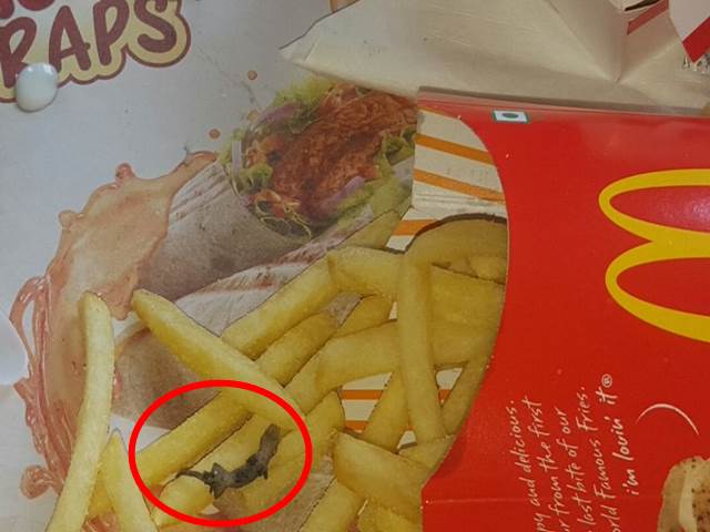 McDonald's fries lizard kolkata