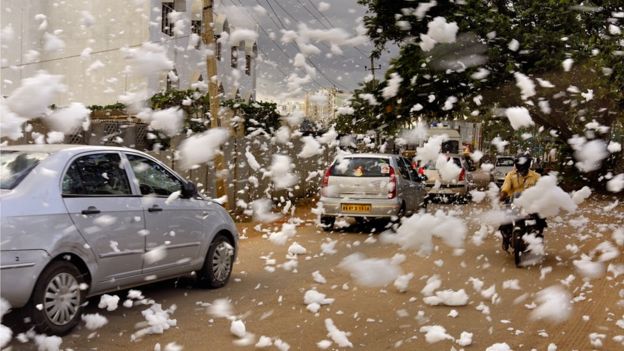 GHMC to clean Foam Haunting Hyderabad,Toxic Foam Haunting Hyderabad, Hyderabad news,Dharani Nagar,polluted water entered into Dharani Nagar,toxic foam at Kukatpally