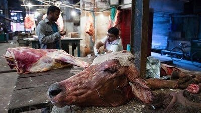 cow slaughter gujrat 1