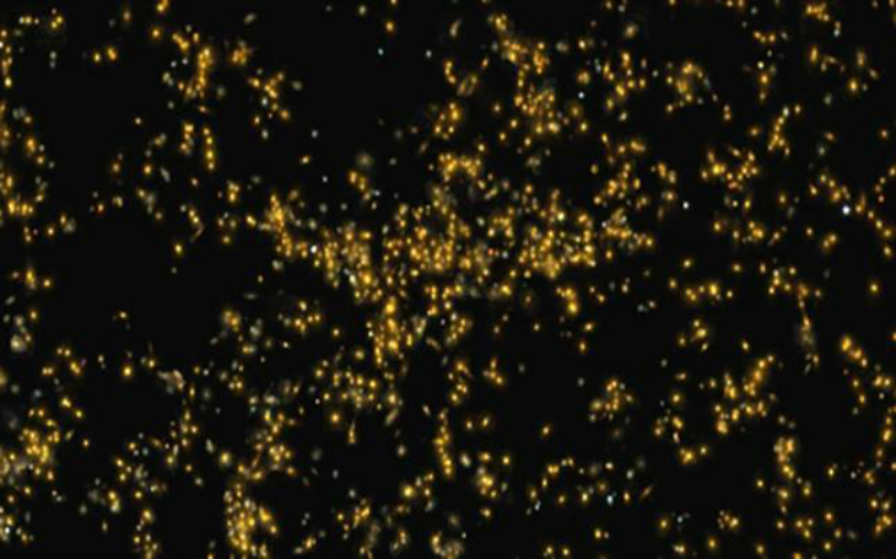 Indian Astronomers,Supercluster Of Galaxies ,Galaxies Identified By Indian Astronomers,Saraswati,Saraswati supercluster,Inter University Centre for Astronomy and Astrophysics