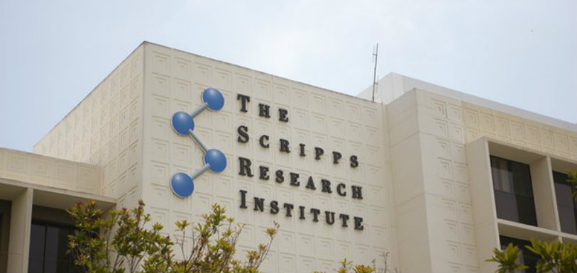The Scripps Research Institute Finds Missing Link,Mango News,TSRI Finds Missing Link For Life On Earth,TSRI Ramanarayanan Krishnamurthy,DAP phosphorylation chemistry,Missing link in origin of life on Earth found,Missing Link In Chemistry,Research & Environment News