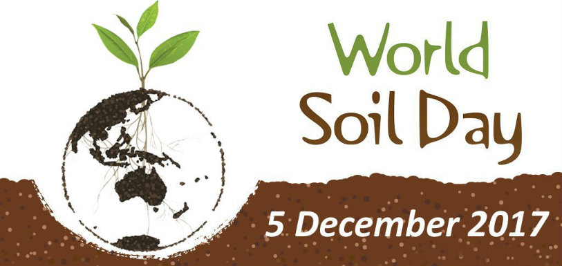 World Soil Day,Importance Of Silent Ally On Ground,Mango News,#WorldSoilDay,World Soil Day 2017 Theme,World Soil Day Annually 5th December,Importance of Healthy Soil,Interesting Stories About World Soil Day,Interesting Facts About healthy Soil,Five Amazing Healthy Soil Facts
