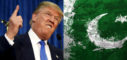 Trump Is Not Satisfied With Pakistan,Mango News,Latest Breaking News Updates,U.S. President Donald Trump not satisfied with Pakistan,Pakistan Fight Against Terrorism,White House Deputy Press Secretary Raj Shah,President Donald Trump about White House