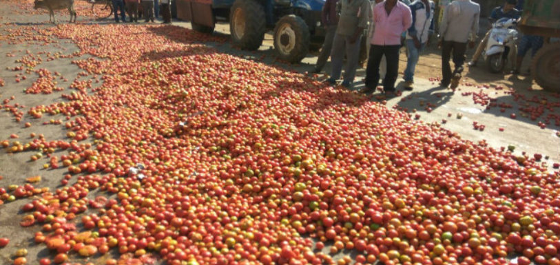 Tamil Nadu Farmers Dump Tomatoes Due To Loss,AIADMK Spokesperson,Tamil Nadu Farmers,TN farmers dump Tomatoes,Tomato prices drop,Mango News,Breaking News Headlines,India News Live Updates,Tamil Nadu Farmers Issue,Tamil Nadu Breaking News