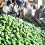 Hyderabad State Food Laboratory Finds 90% Of Fruits Laced With Chemicals,Mango News,Breaking News Headlines,India News Live Updates,Hyderabad State Food Laboratory,Fruits Laced With Chemicals,Kothapet fruit market,biggest fruit market in Hyderabad,Hyderabad Fruits Market