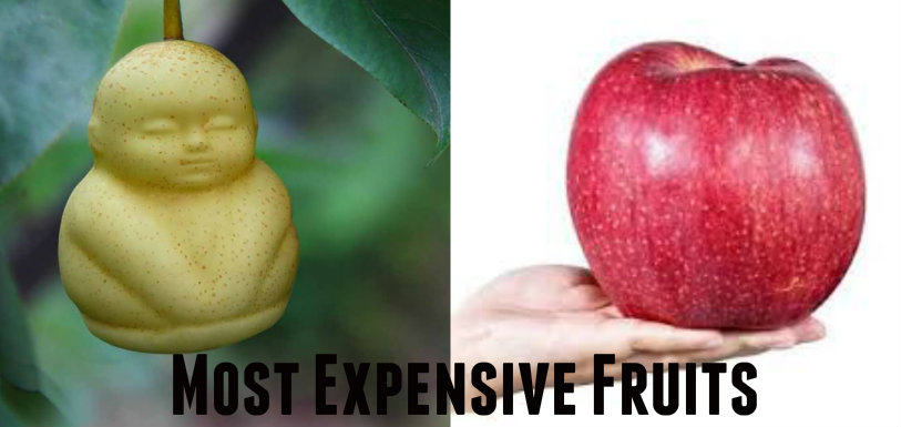 Nine Of Most Expensive Fruits In World,Mango News,Breaking News Headlines,India News Live Updates,Most Expensive Fruits,Top Expensive Fruits in World,9 most expensive fruits,World Most Expensive Fruit,9 Most Priced Fruits,Top 9 Costly Fruits in World